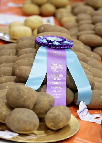Potato Festival Best of Show