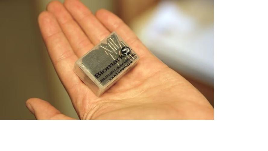 dam bat microchip.jpg