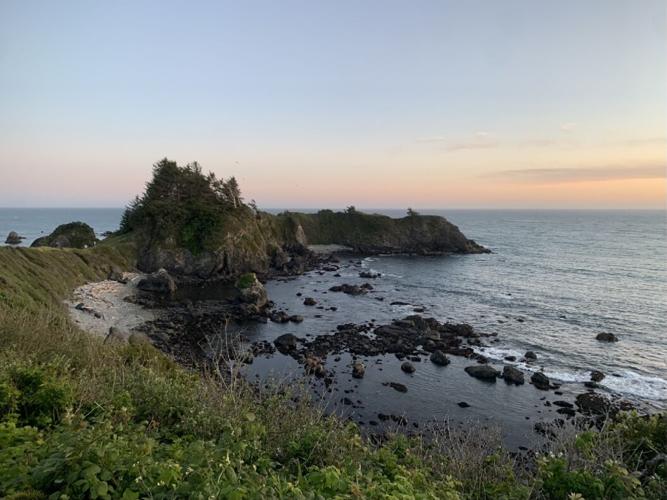 luke - brookings.jpg